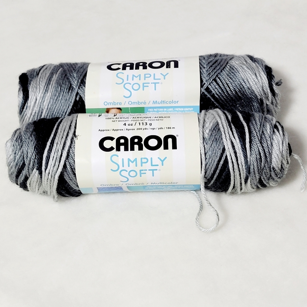 Carol Simply Soft Yarn Stormy Weather Ombre 2 Skeins